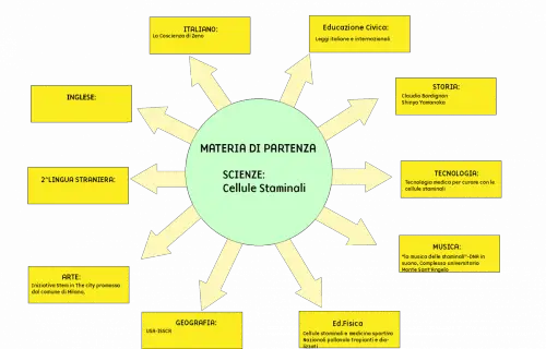 Tesina terza media Cellule Staminali