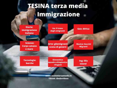Tesina Immigrazione 