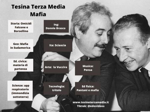 Tesina Mafia